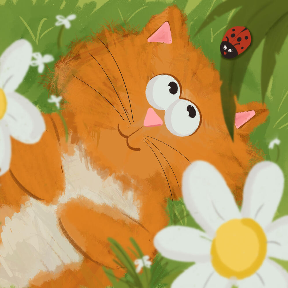 Cats